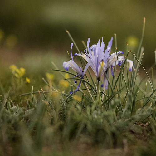 Photo #13885415