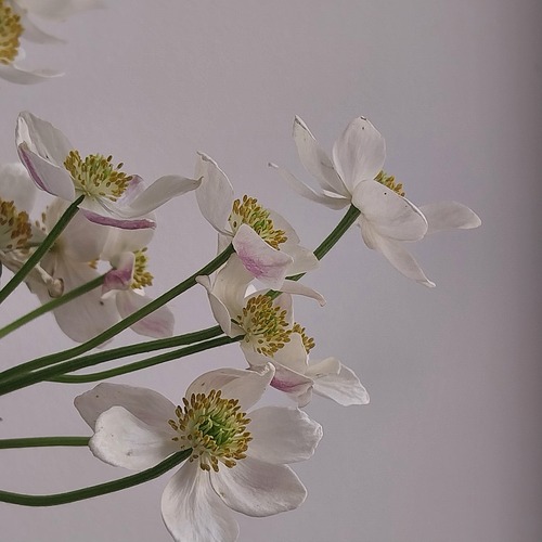 Photo #13885520