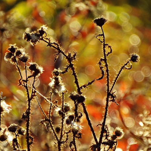 Photo #13885553