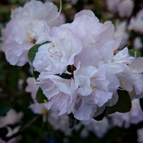 Photo #13885599