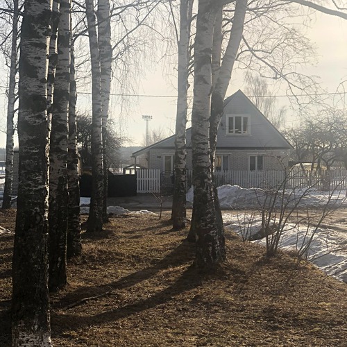 Photo #13885684