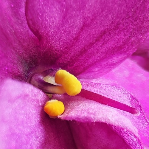 Photo #13885711