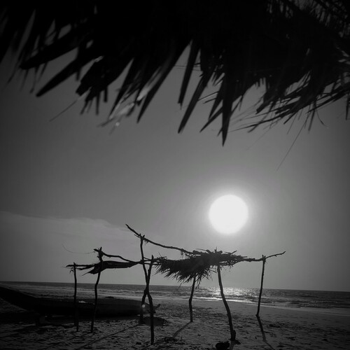 Last Refuge