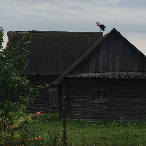 Photo #13885864