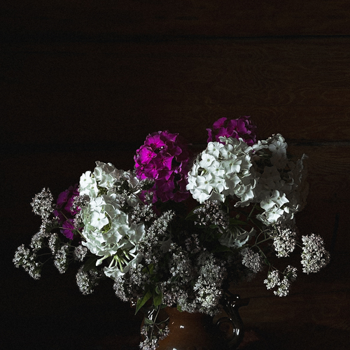 Photo #13885870