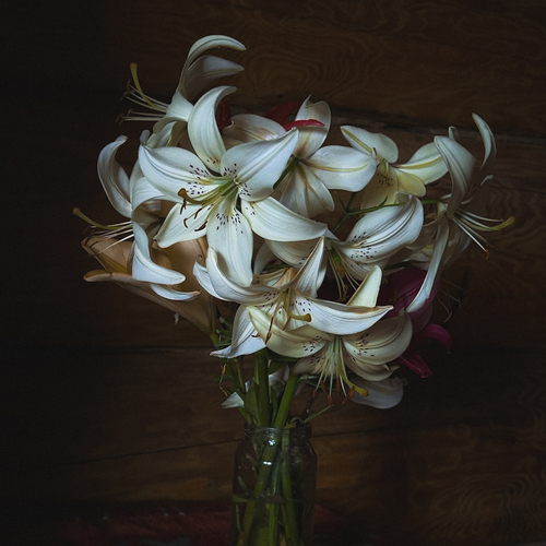 Photo #13885871
