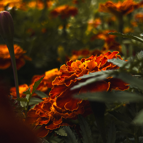 Photo #13885872