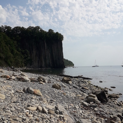 Photo #13886324