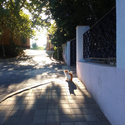 Photo #13886338