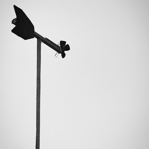 Photo #13886452