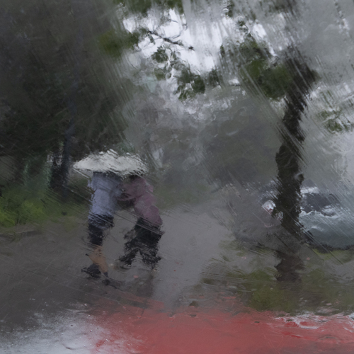 Ливень (Rainfall)