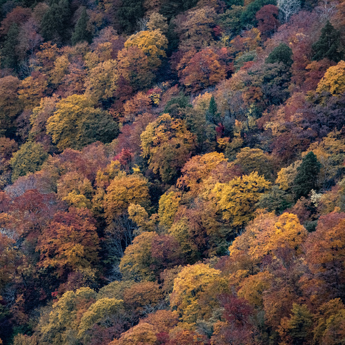 Photo #13886563