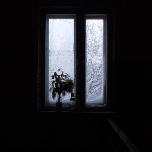Photo #13886566