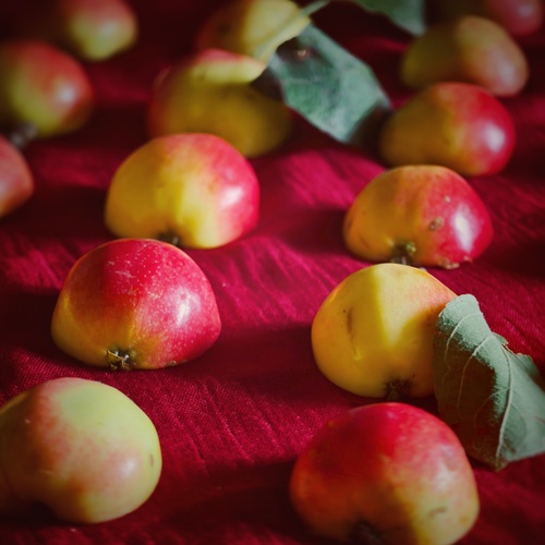 Photo #13886576