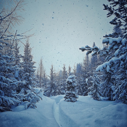 Photo #13886792