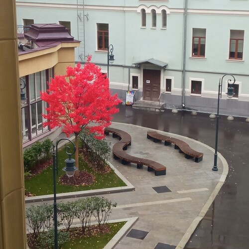 Photo #13886803