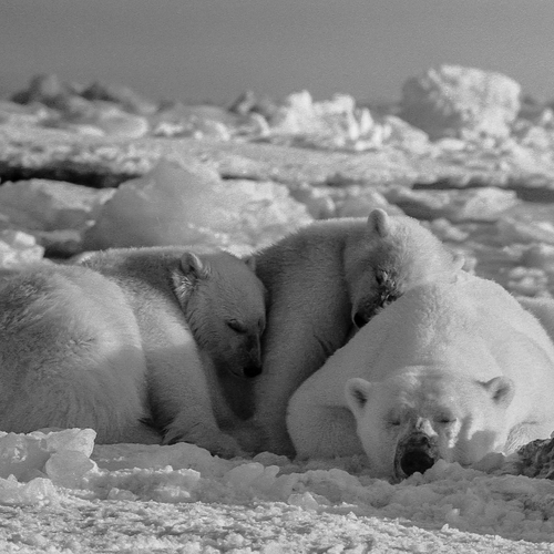 Photo #13886884
