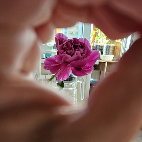 Photo #13886899