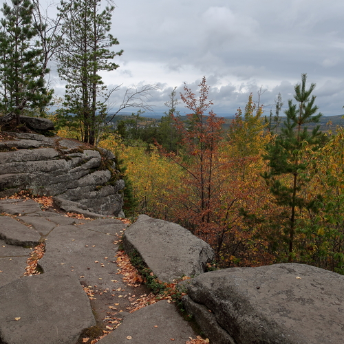 Photo #13886934