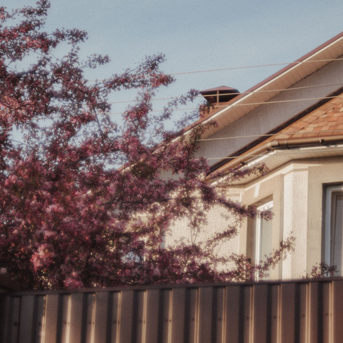 Photo #13886935