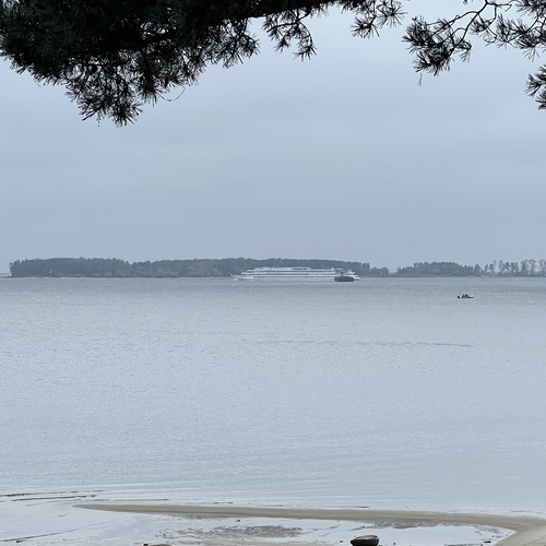 Photo #13887084