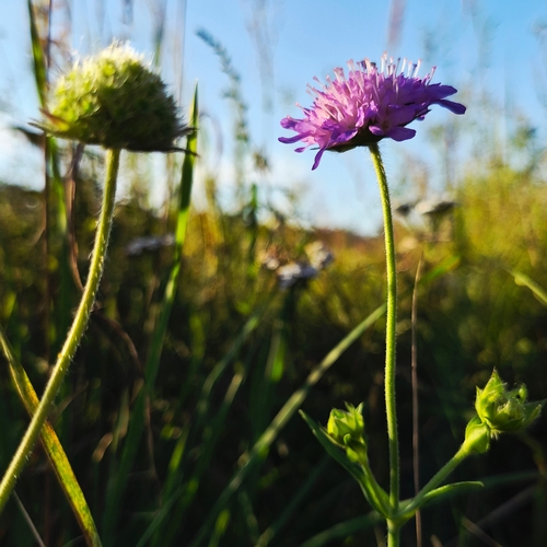 Photo #13887144