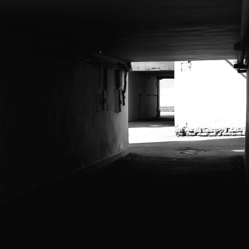 Photo #13887186