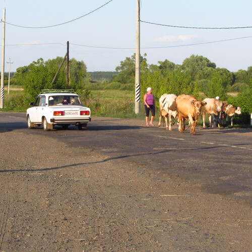 Photo #13887203