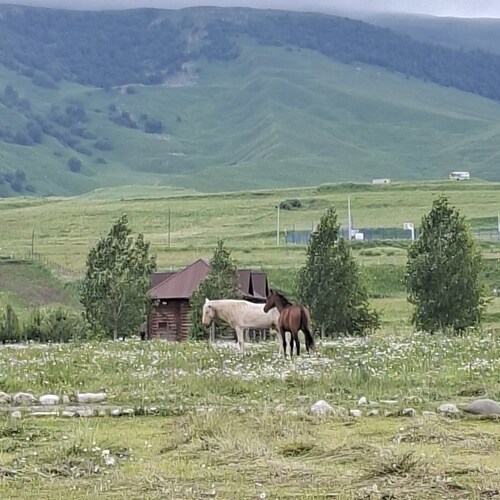 Photo #13887217