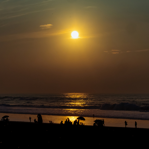 Photo #13887233