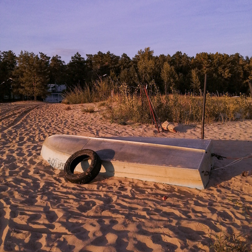 Photo #13887340