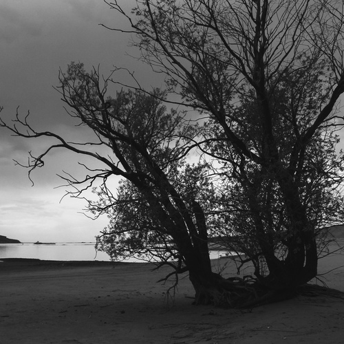 Photo #13887341