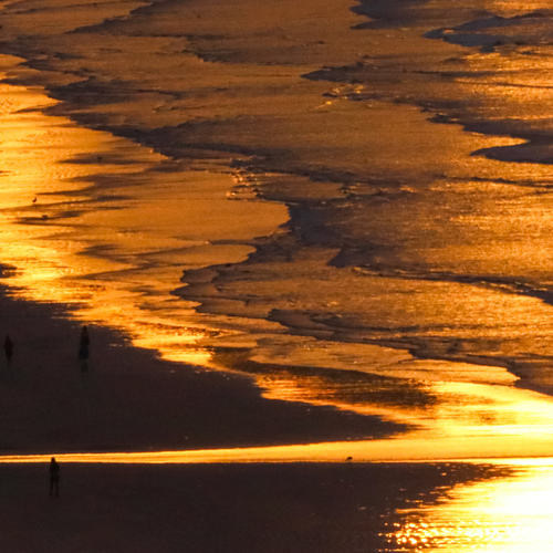 Photo #13887388