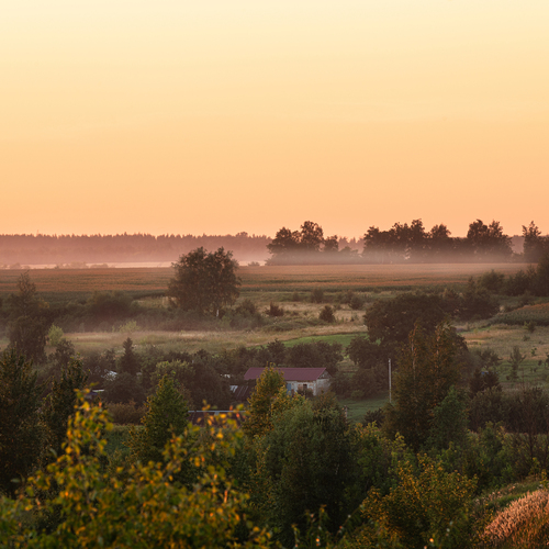 Photo #13887541