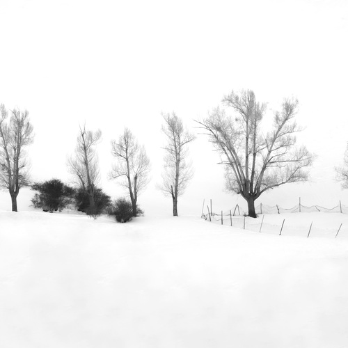 What remains after everything unnecessary disappears.