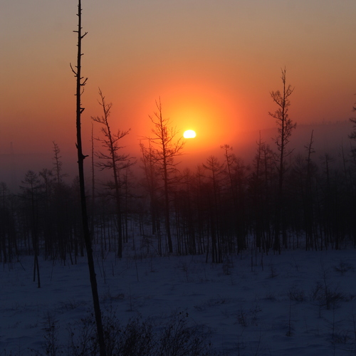 Photo #13887578