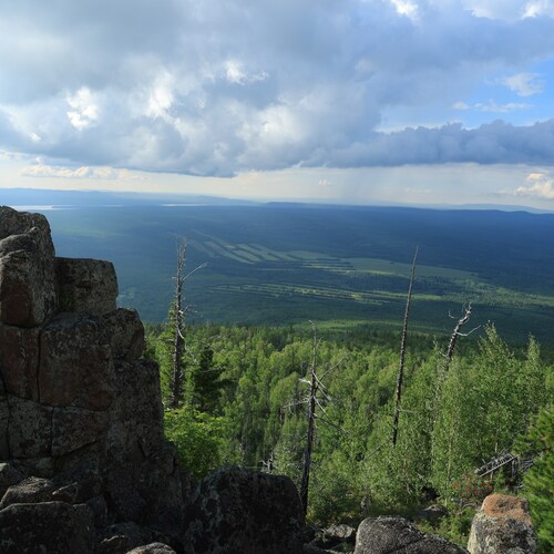 Photo #13887579
