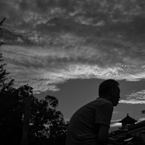 Photo #13887723