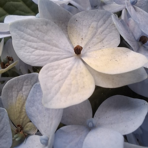 Photo #13887773