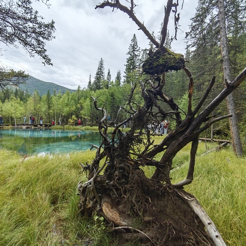 Photo #13887792