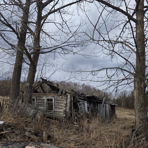 Photo #13887802
