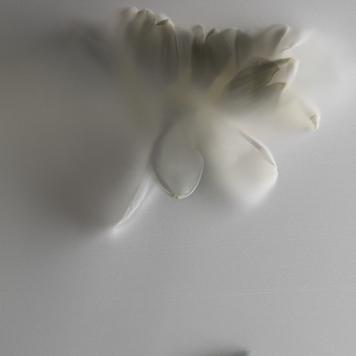 Photo #13887813