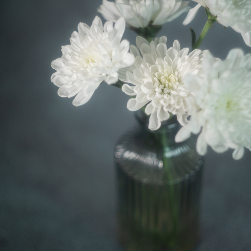 Photo #13887831