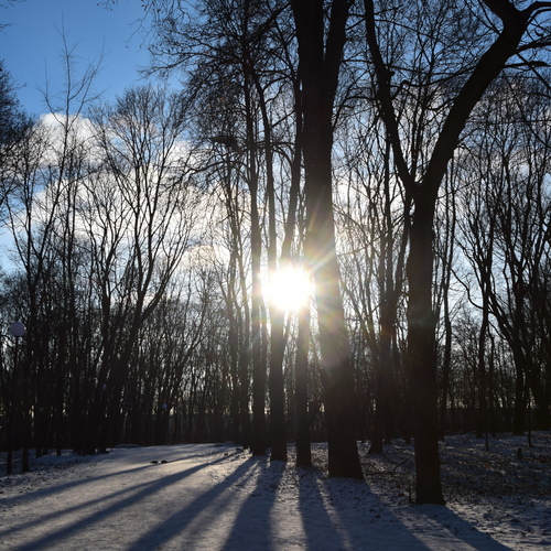 Photo #13887949