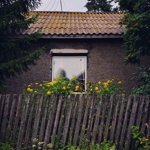 Photo #13887992