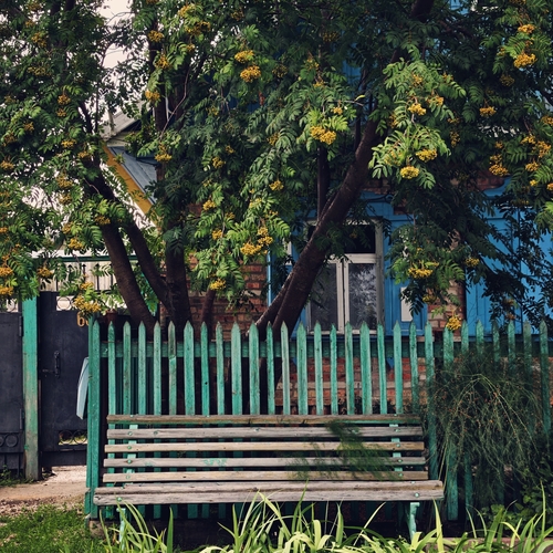 Photo #13887994