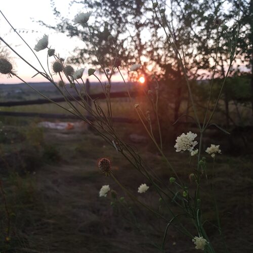 Photo #13888146