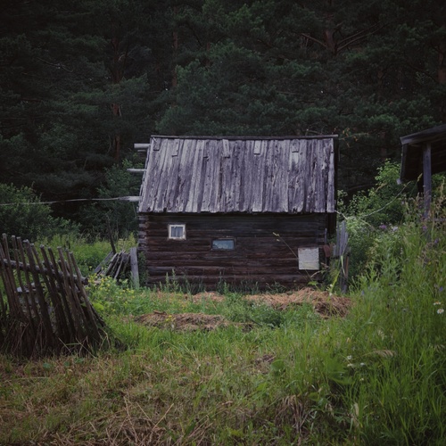 Photo #13888185