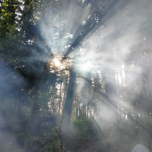Photo #13888225