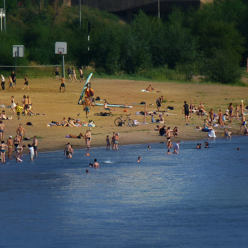 Photo #13888405